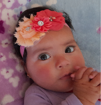  baby/kinderen hoofd/haarband bloemen met strass 